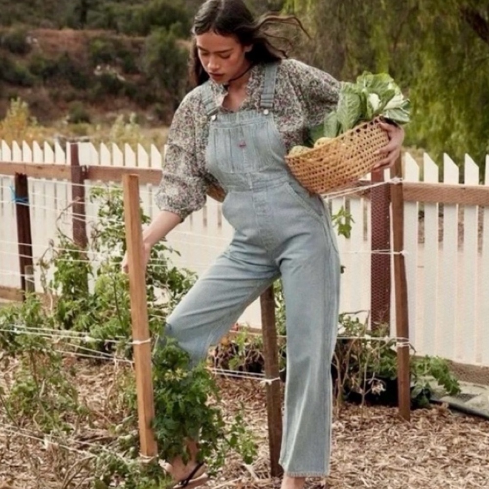 Doen Myrtle Railroad stripe Denim Overalls
